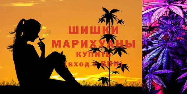 дмт Михайлов