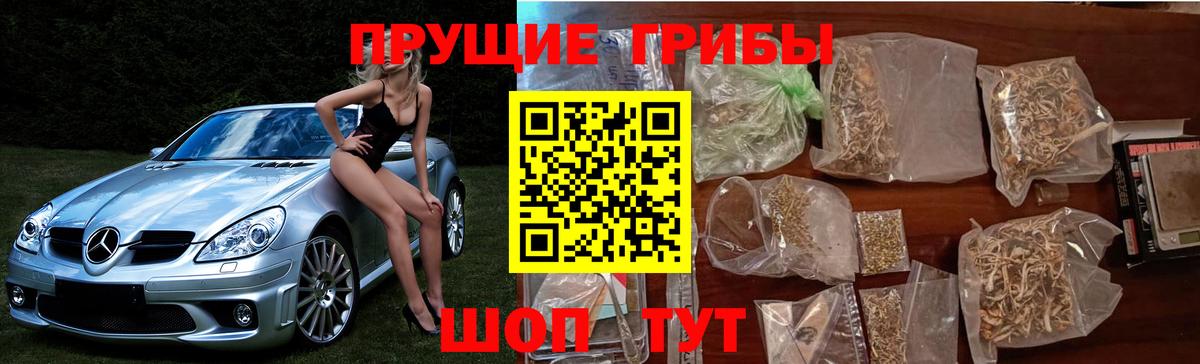 Псилоцибиновые грибы прущие грибы  Вход с VPN  Симферополь  Галлюциногенные грибы мухоморы 
