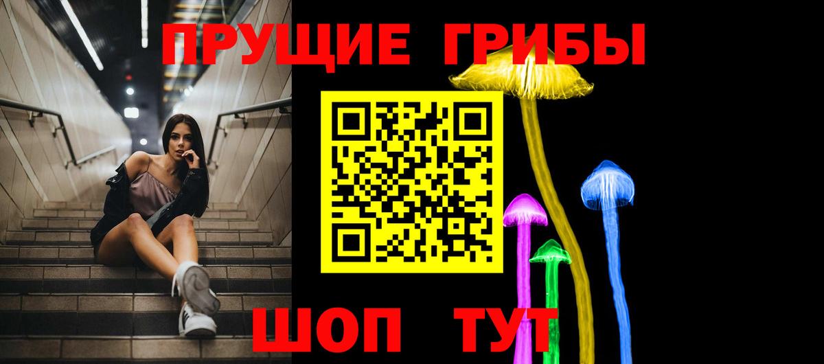 Псилоцибиновые грибы прущие грибы  Симферополь 